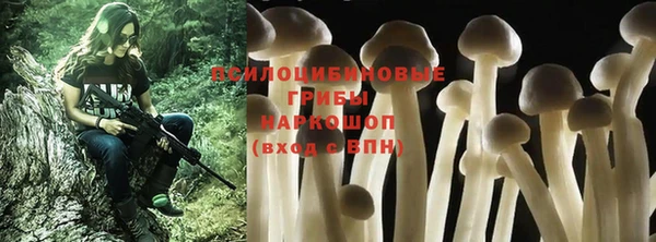 твердый Покров